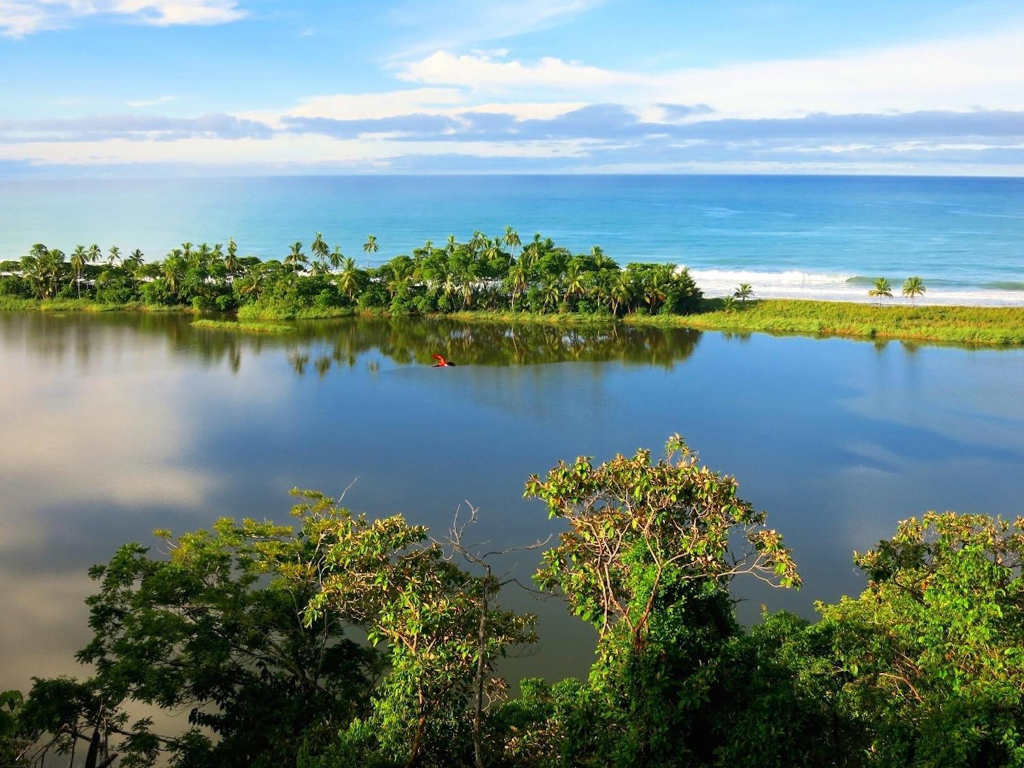 Lagunavista Villas Carate Ngoại thất bức ảnh