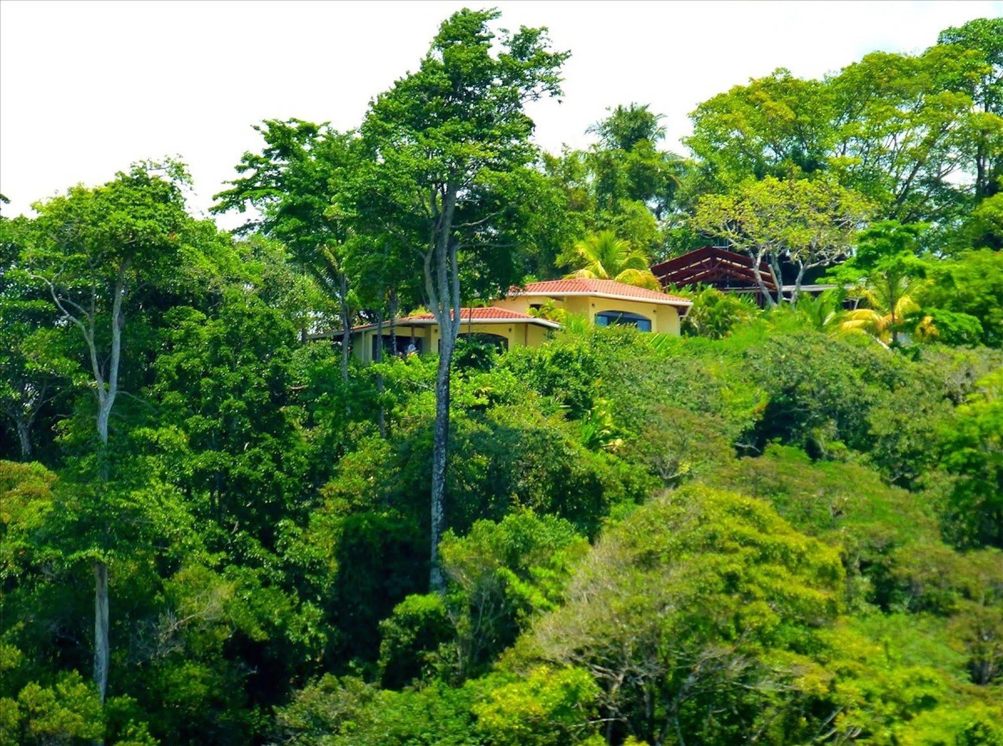 Lagunavista Villas Carate Ngoại thất bức ảnh